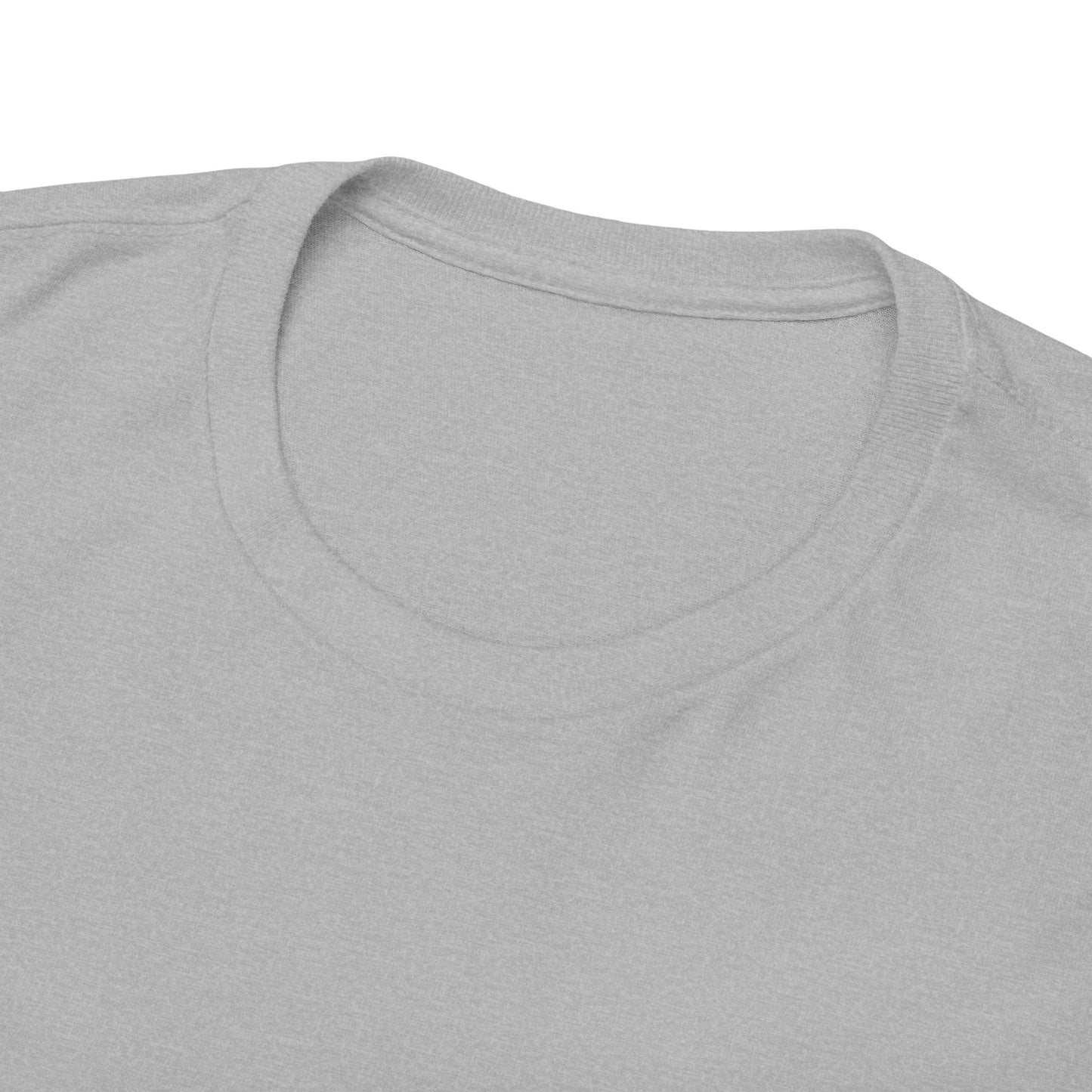 T-Shirt - "Jeg begår skattesvindel"